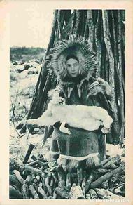 Cartoline: Etats Unis - Alaska - Fleur de Neige - Cercle Arctique - Animée - CPA - Voir Scans Recto-Verso